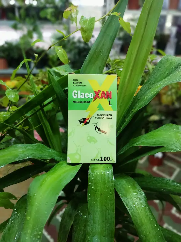 GlacoXan Molusquicida L – Caracoles y Babosas