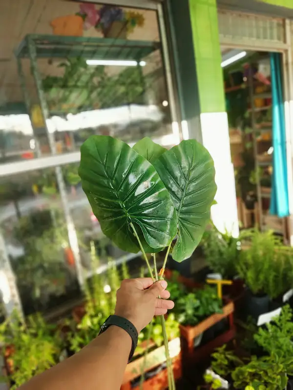 Hojas de Alocasia Artificial