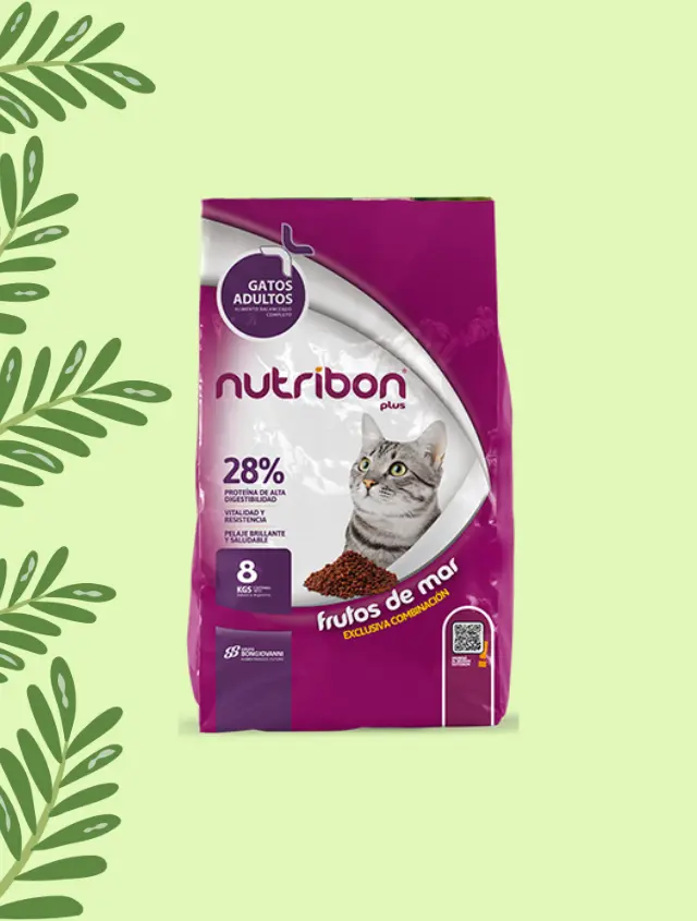 Nutribon Gatos Adultos