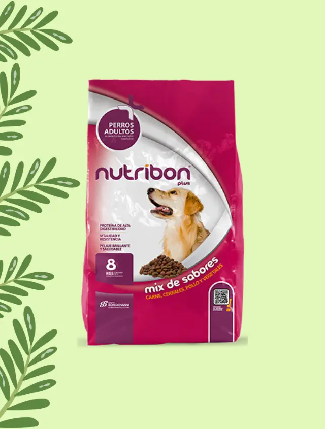 Nutribon Perro Adulto