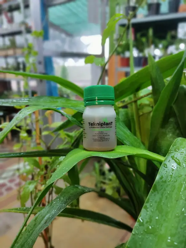 Tekniplant – Aceite de Neem