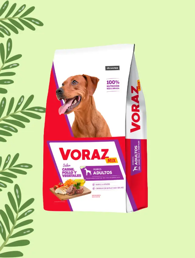 Voraz Perros Adulto